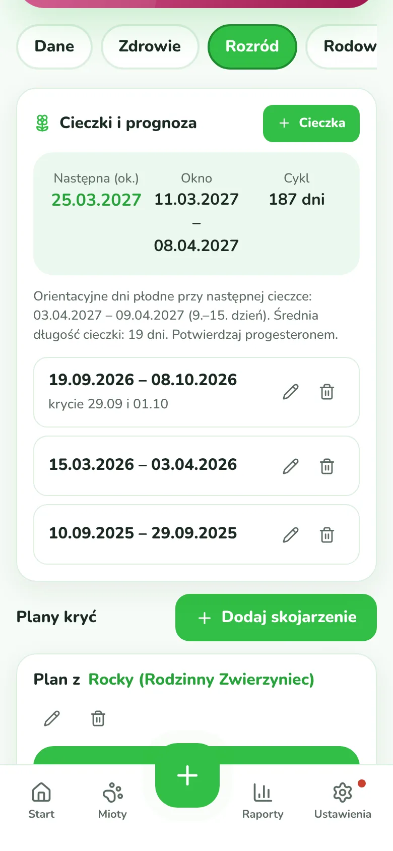 Cieczka, krycie, progesteron, USG
