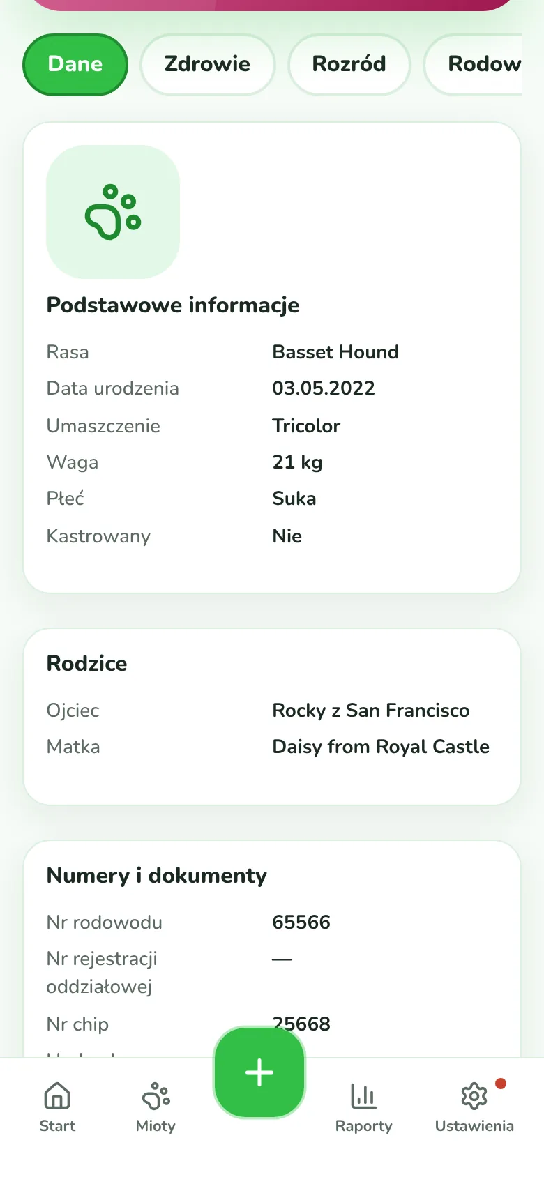 Profil psa